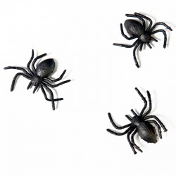 Store sorte edderkopper 10 stk