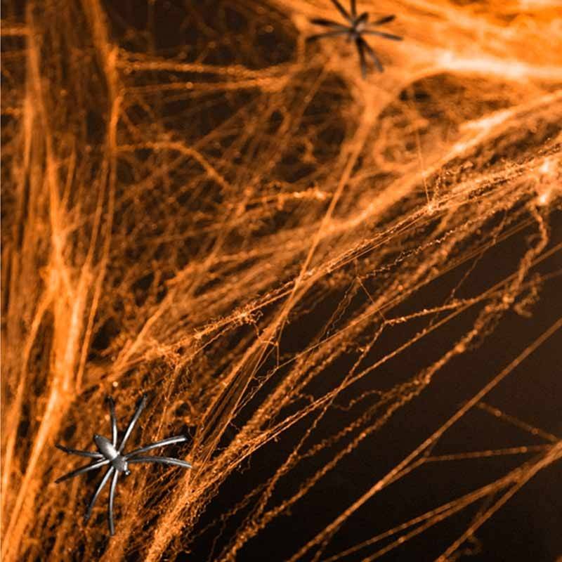 Orange spindelvæv med 2 edderkopper
