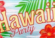 Hawaii Fest